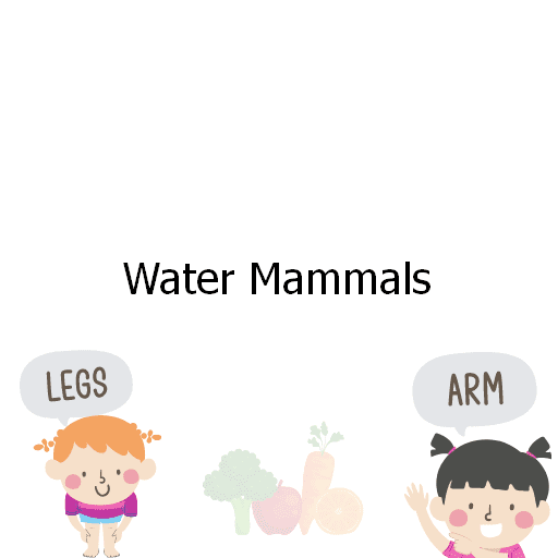 Water Mammals